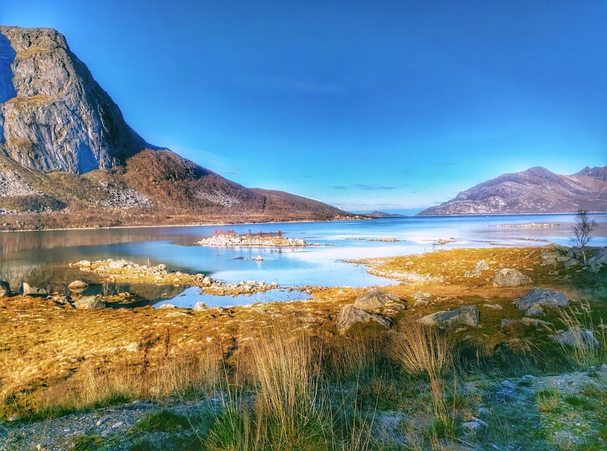 Fjord Cruise to Kvaløya