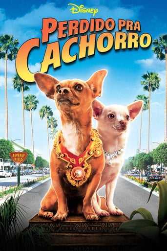 Perdido pra Cachorro - Raja Gosnell · 2008