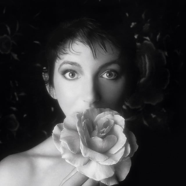 Kate Bush - Artist