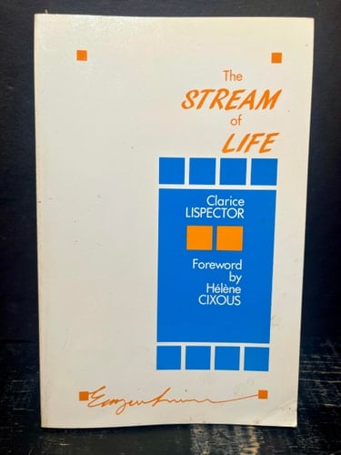 Agua Viva - Clarice Lispector · 1989