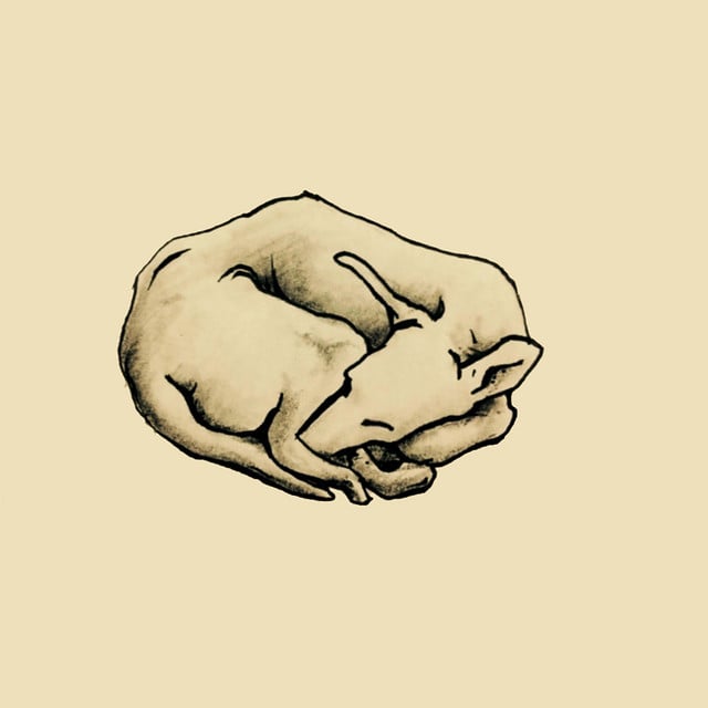 Ofelia - Album · Kiltro