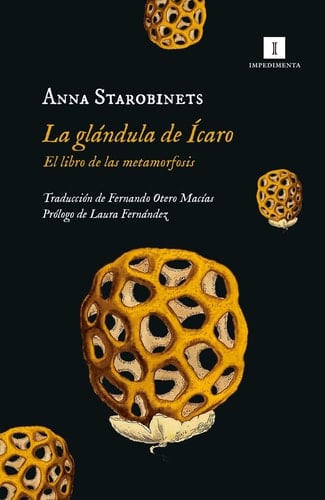 La glándula de Ícaro - Anna Starobinets · 2023