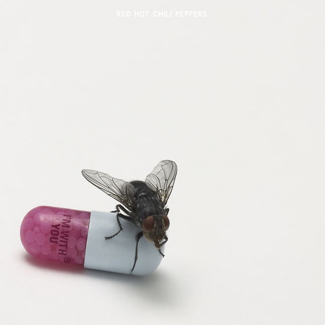 Did I Let You Know - Track · Red Hot Chili Peppers