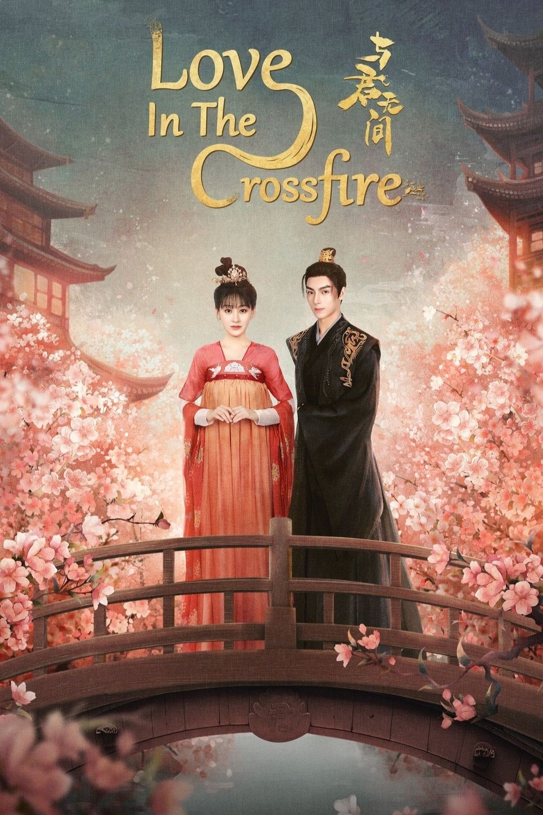 Love in the Crossfire - 2024