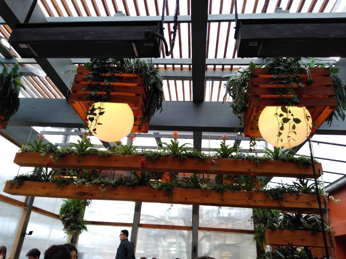 10 Acres Bistro