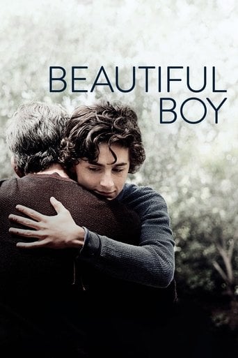 Beautiful Boy - Felix van Groeningen · 2018