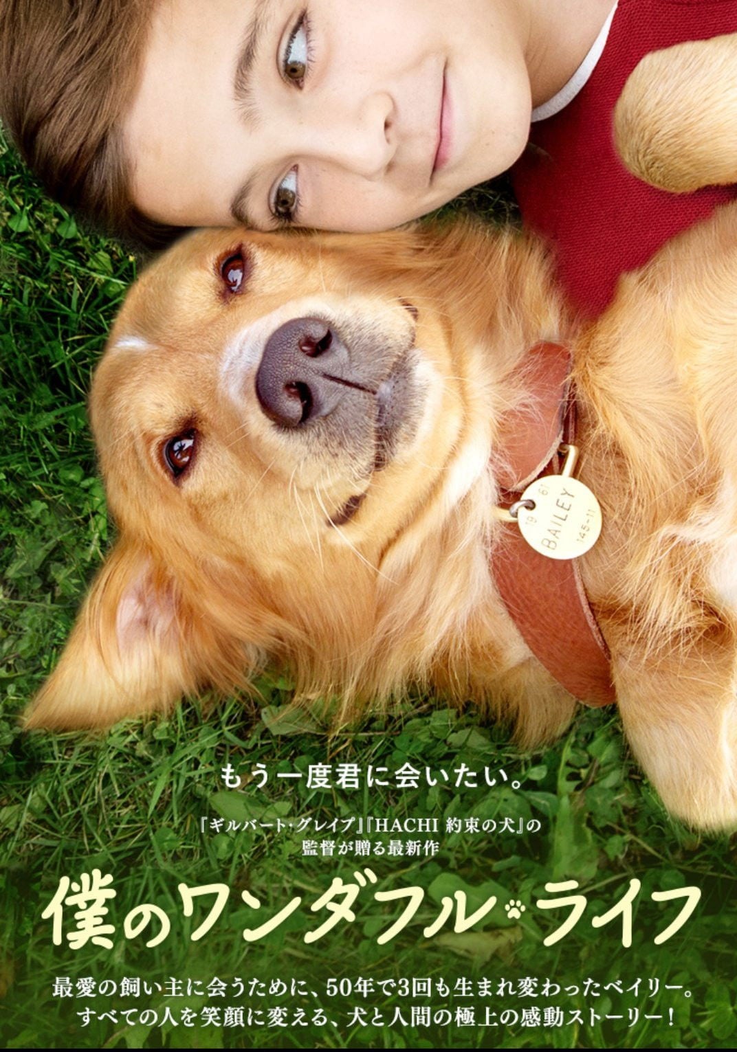 僕のワンダフル・ライフ - ラッセ・ハルストレム · 2017