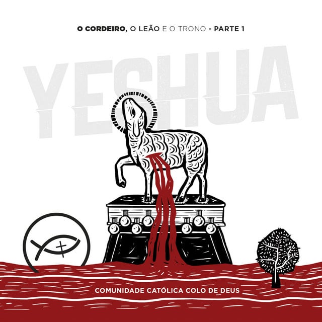 20. Desperta - Ao Vivo - Track · Colo de Deus