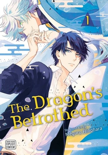 Dragon's Betrothed - Meguru Hinohara · 2023