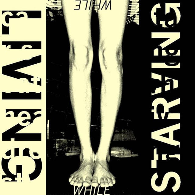Living While Starving - Album · Car Seat Headrest