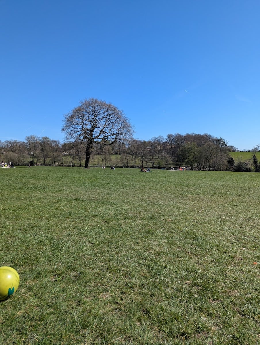 Graves Park