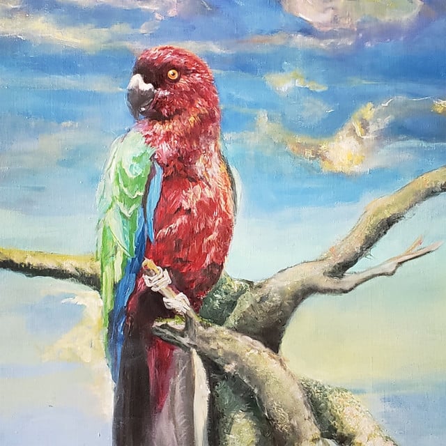 Runner - Album · Alex G