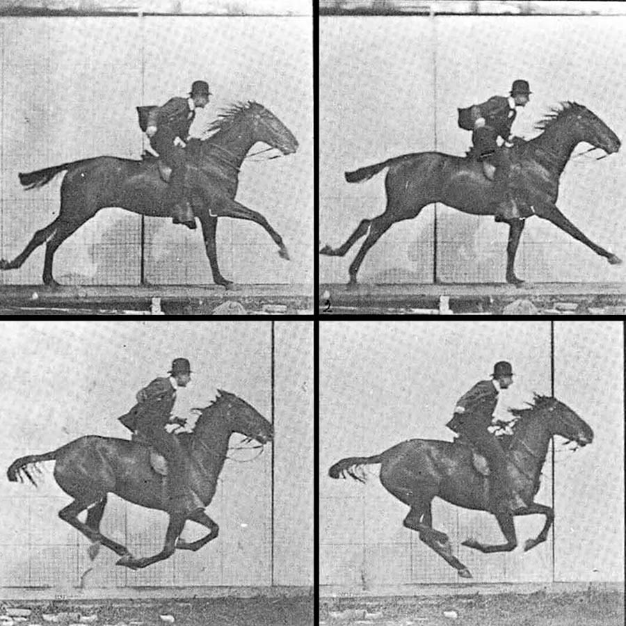 Every Frame a Painting - YouTube
