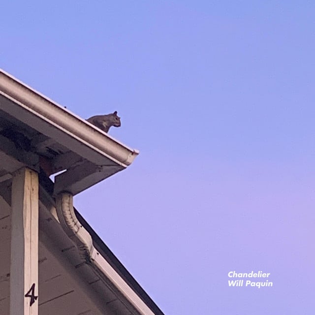 Chandelier - Will Paquin