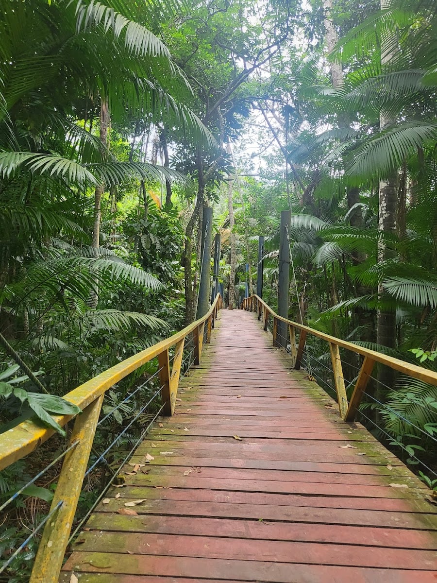 Parque Municipal do Mindu