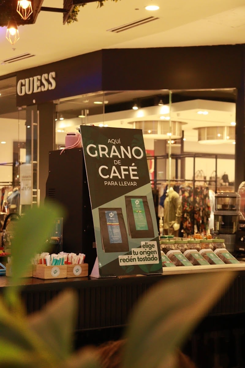 Café Mutuo