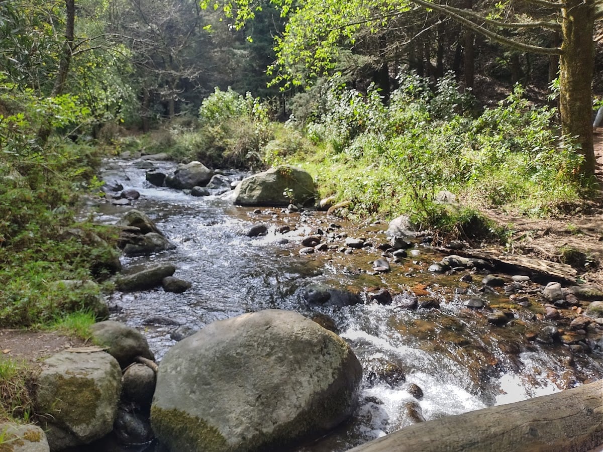 Parque Nacional Los Dinamos