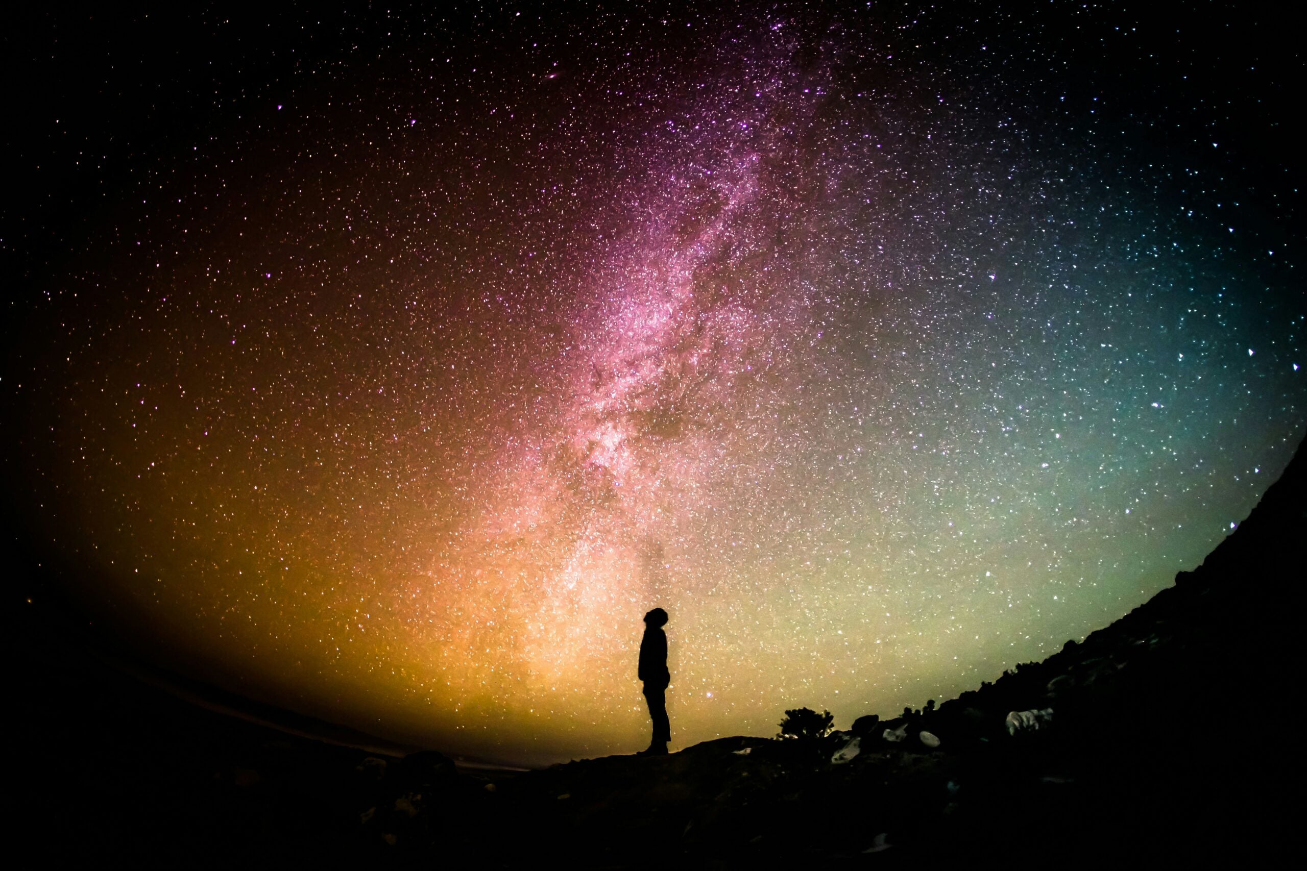 Todo es uno: por una reconexión con el cosmos - Revista Endémico
