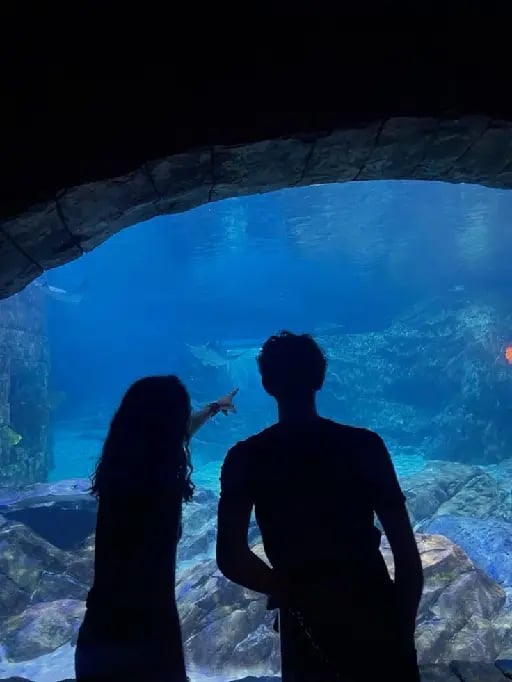 aquarium