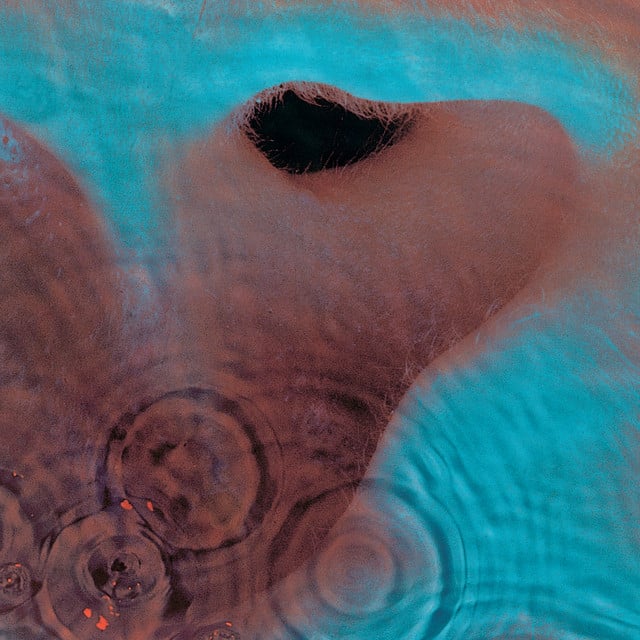 Meddle - Album · Pink Floyd
