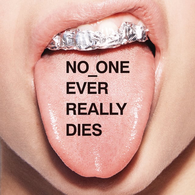 Secret Life Of Tigers - Song · N.E.R.D, Pharrell Williams