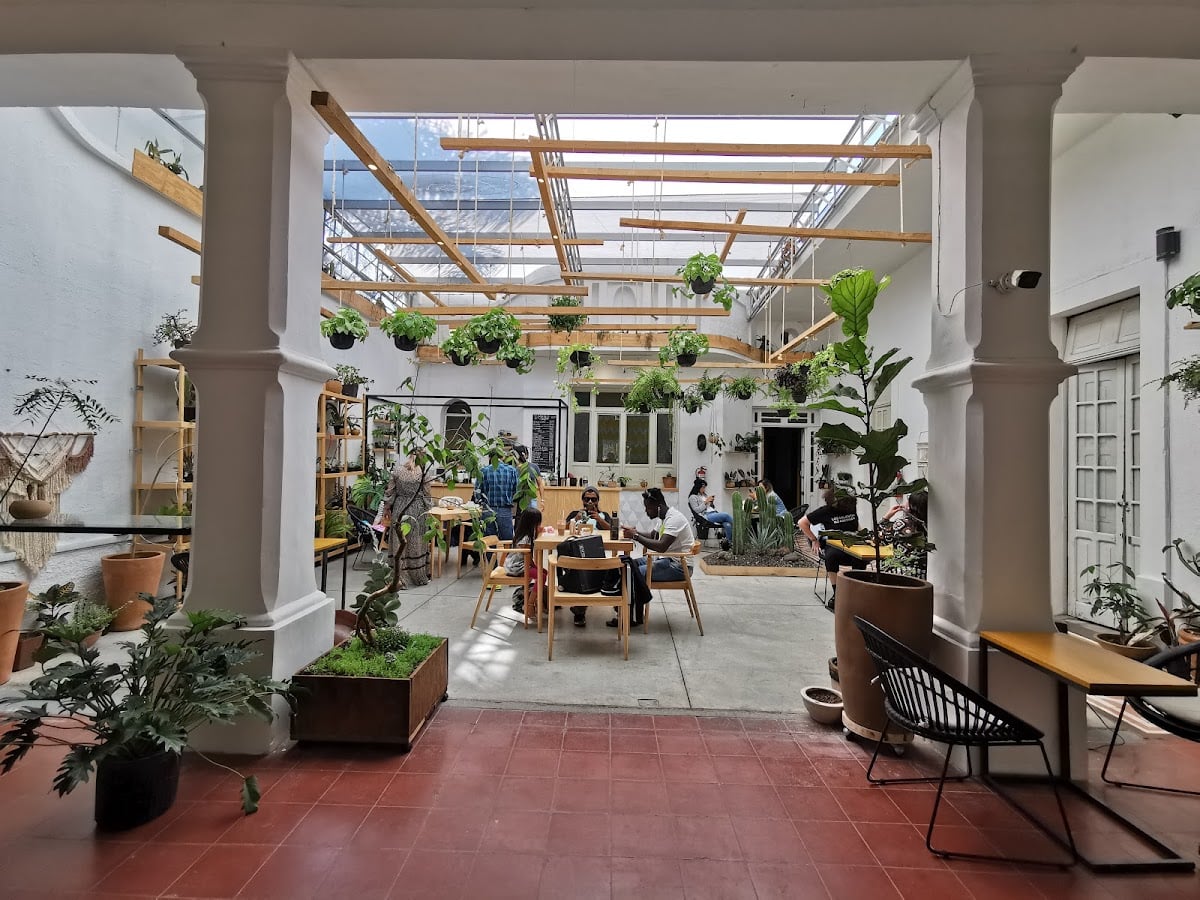 Endémico Vivero - Café