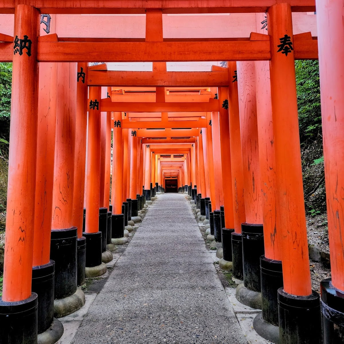 Fushimi Inari Shrine (Thousand Torii Gates)