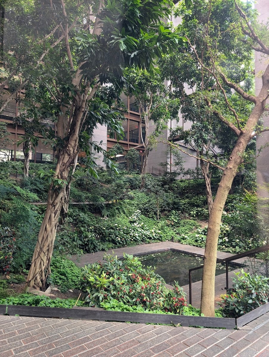 Ford Foundation Public Atrium Garden