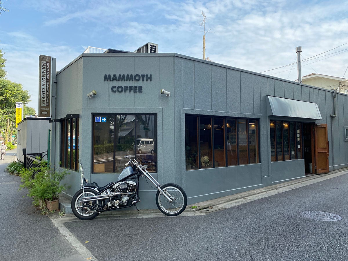 Mammoth Coffee