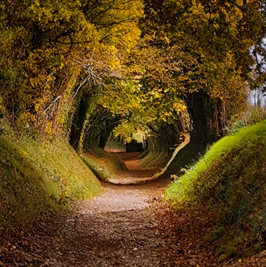 Halnaker - Chichester