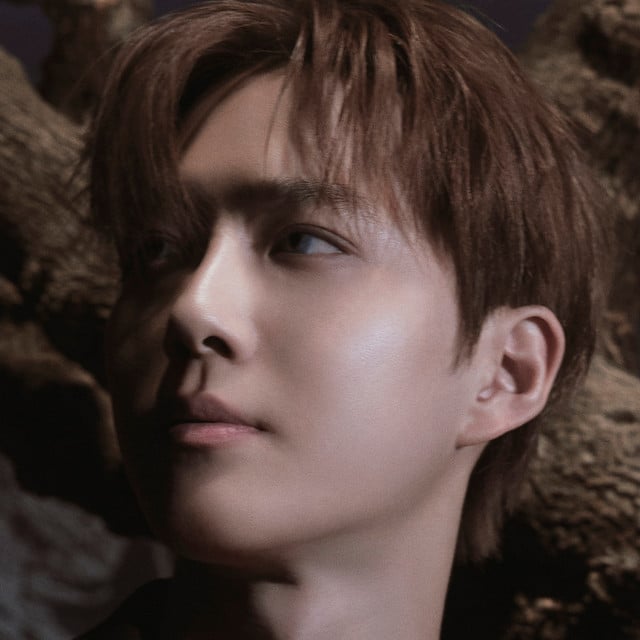 SUHO - Artist