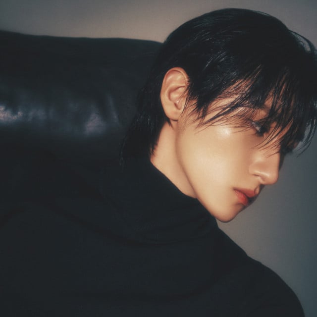 I.M - Artist
