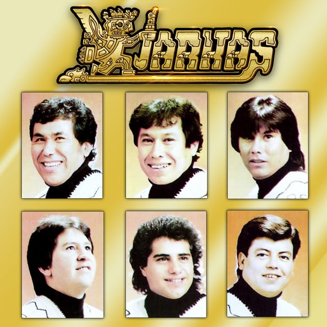 El 脕rbol de Mi Destino - Track 路 Los Kjarkas