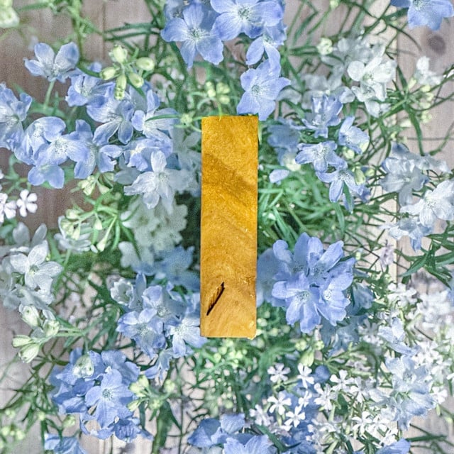delphinium - Song · luvliminall