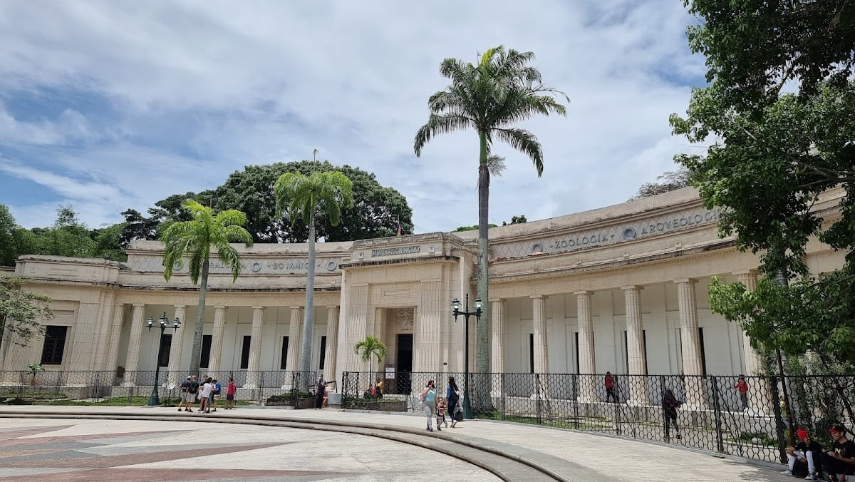 Museum of Natural Sciences - Al lado del de bellas artes , es un museo interactivo que a los más pequeños les va a encantar y a los adolescentes ( los más tranquis ) les va a gustar por la cantidad de actividades