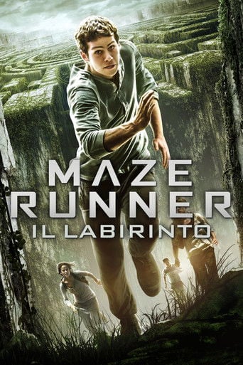 Maze Runner - Il labirinto - Wes Ball · 2014