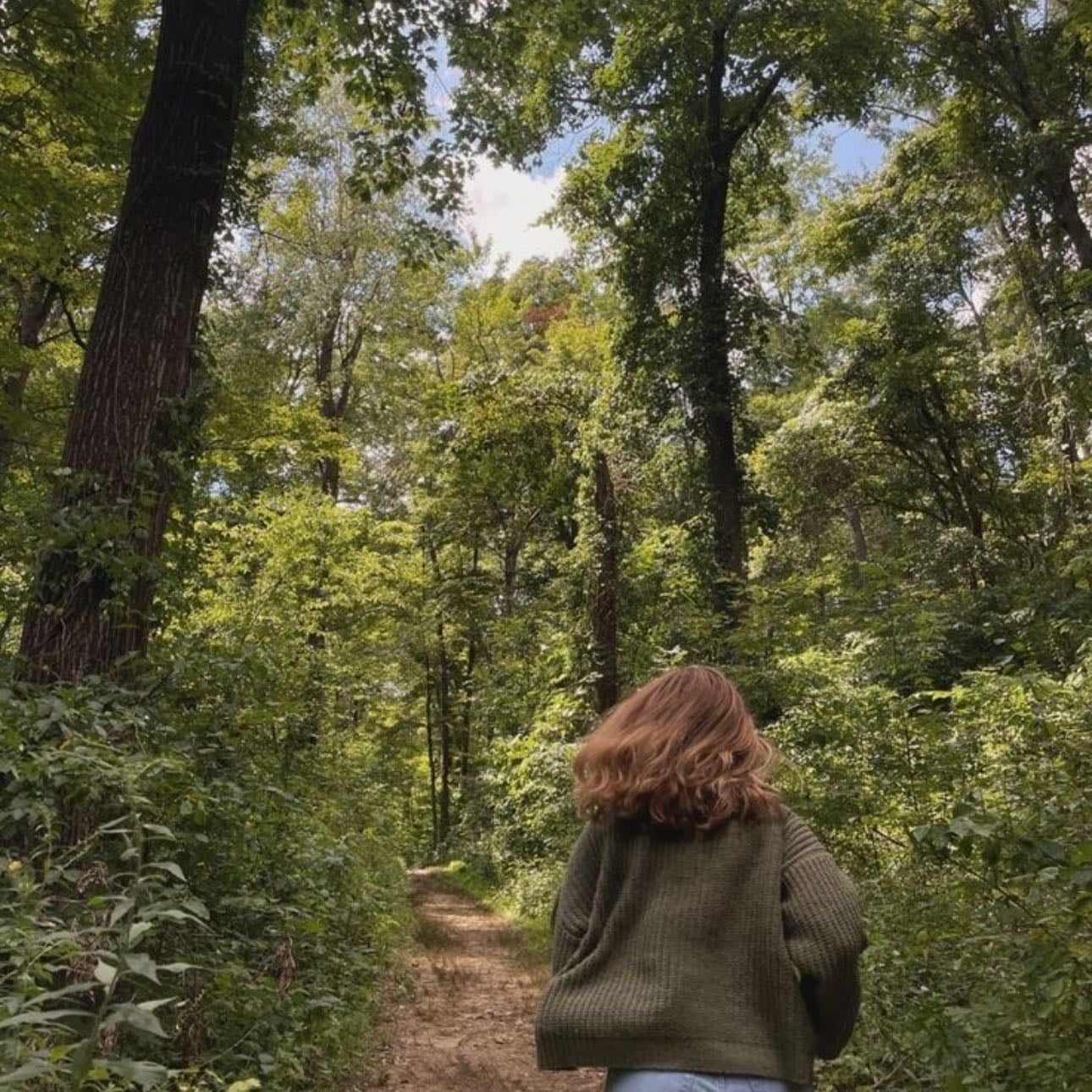 Take a walk in the forest