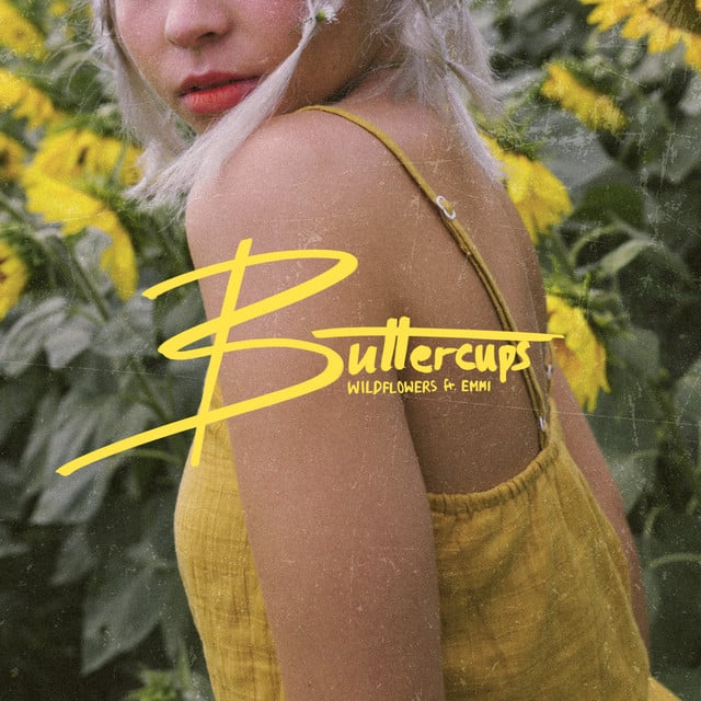 Ain't Nobody Like You - Track · Wildflowers, Emmi