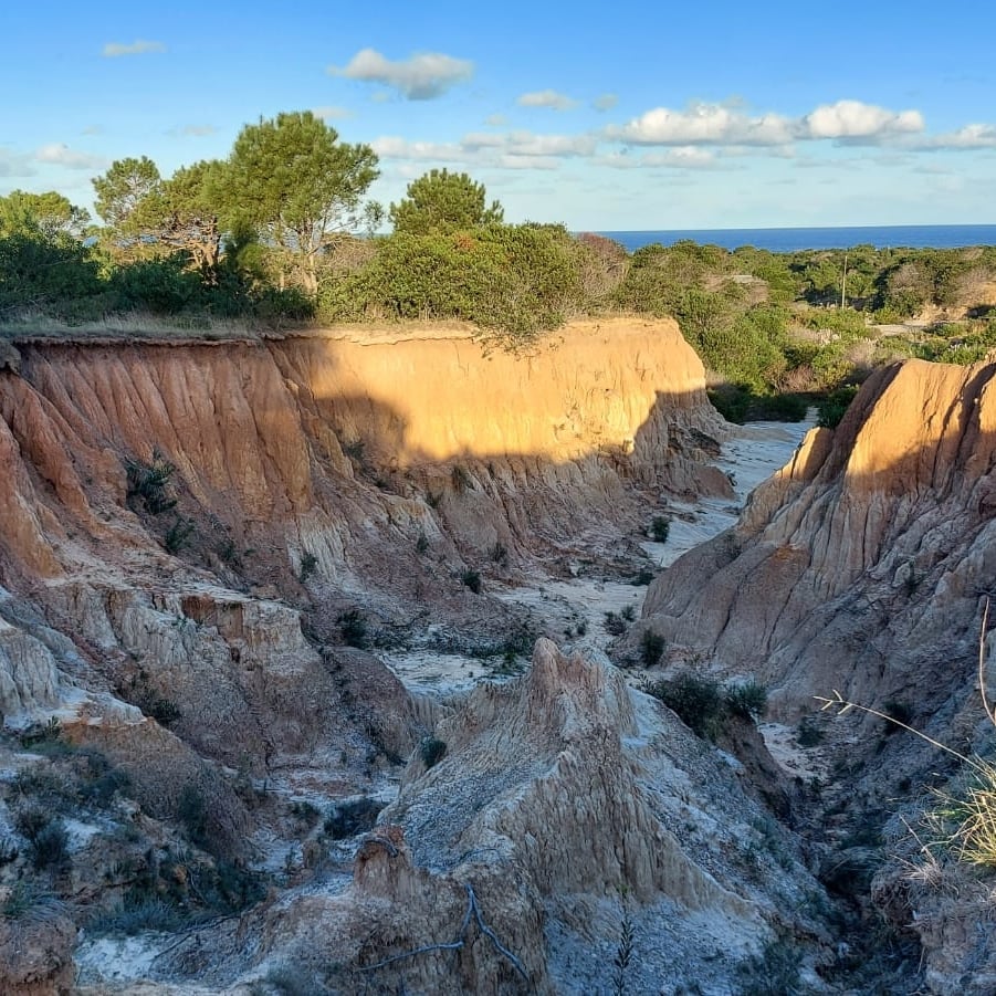 Punta Rubia