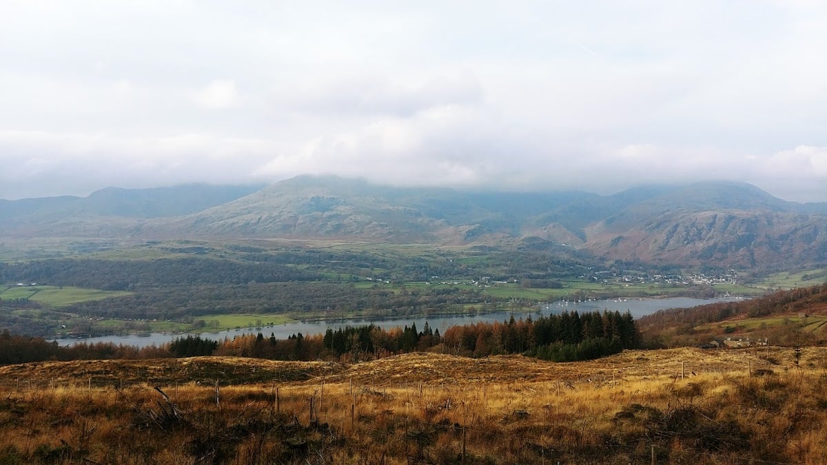Grizedale Forest