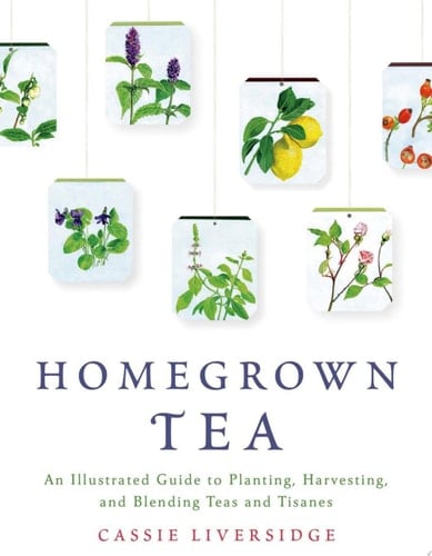 Homegrown Tea An Illustrated Guide to Planting, Harvesting, and Blending Teas and Tisanes - Cassie Liversidge · 2014