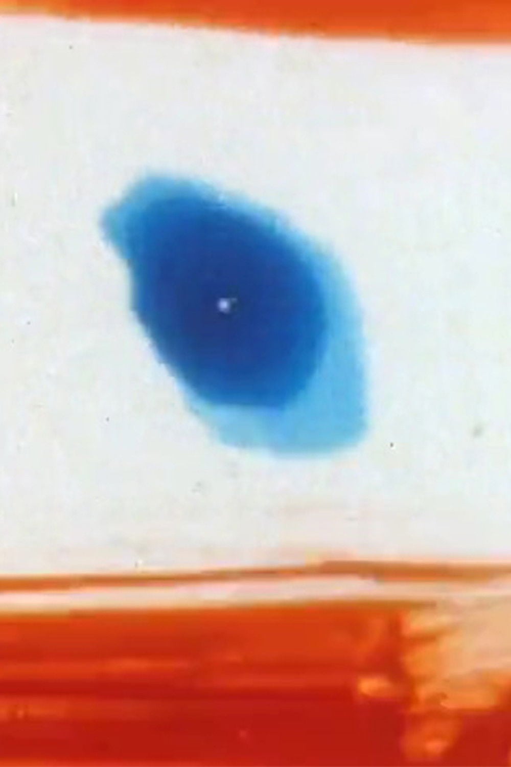 Movement - Yves-Marie Mahé · 1997