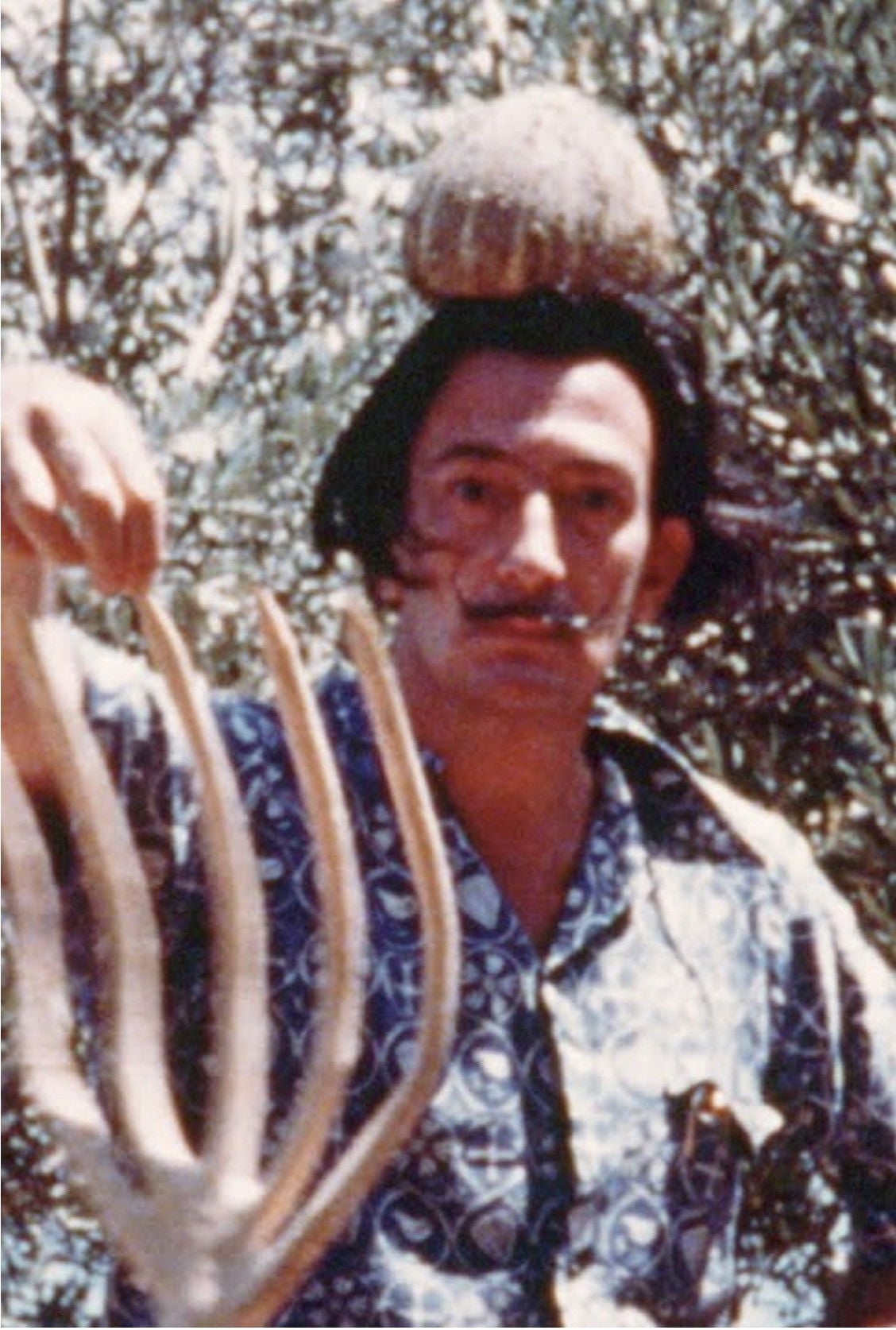 Salvador Dalí Home Movie - Salvador Dalí · 1954