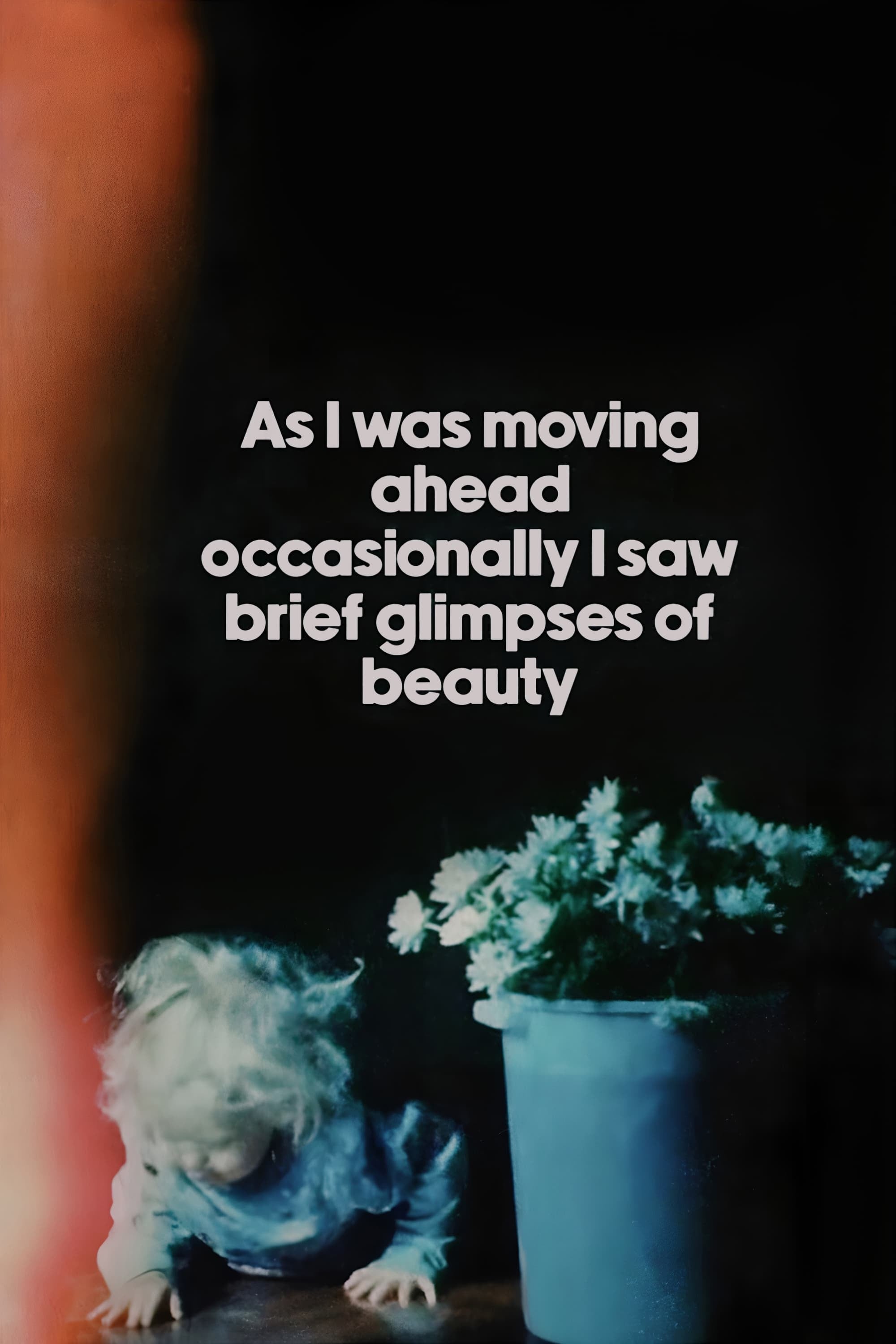 As I Was Moving Ahead, Occasionally I Saw Brief Glimpses of Beauty - Jonas Mekas · 2000