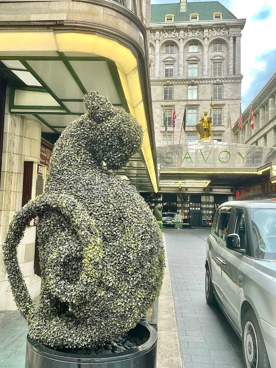 The Savoy Hotel