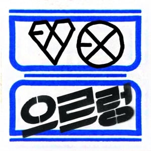 The 1st Album 'XOXO' (Repackage) - Album · EXO