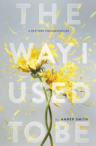 The Way I Used to Be - Amber Smith · 2016