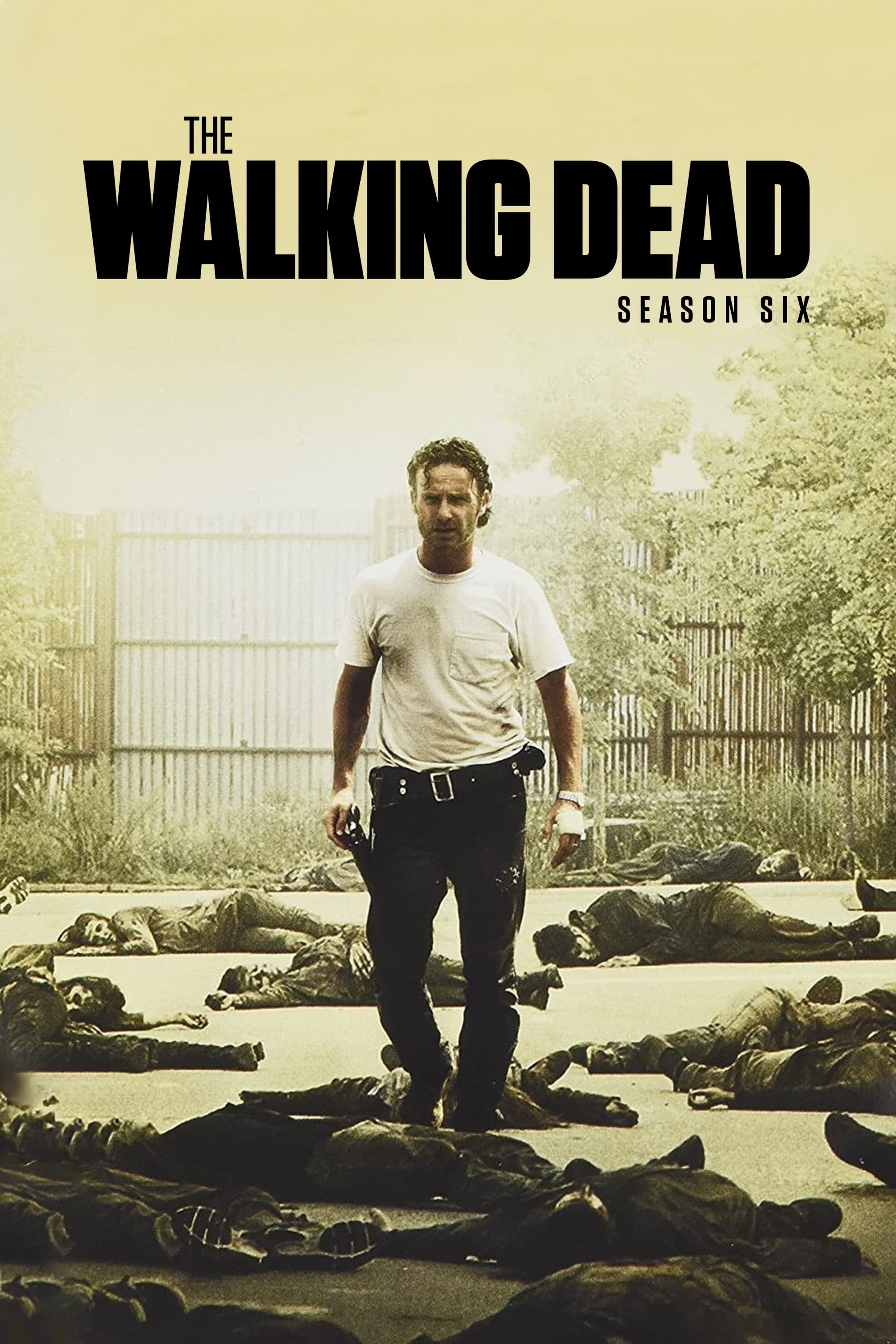 The Walking Dead - Season 1 - 6