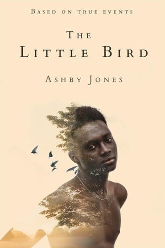 The Little Bird - Ashby Jones · 2024