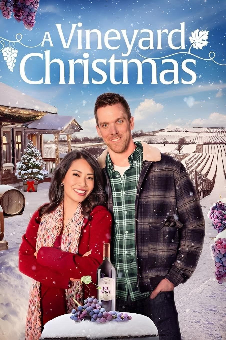 A Vineyard Christmas - Ana Valine · 2023